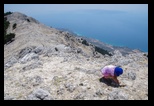 Kefalonia - Ainos National Park -20-06-2021 - Bogdan Balaban